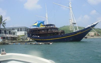 Palau 2007